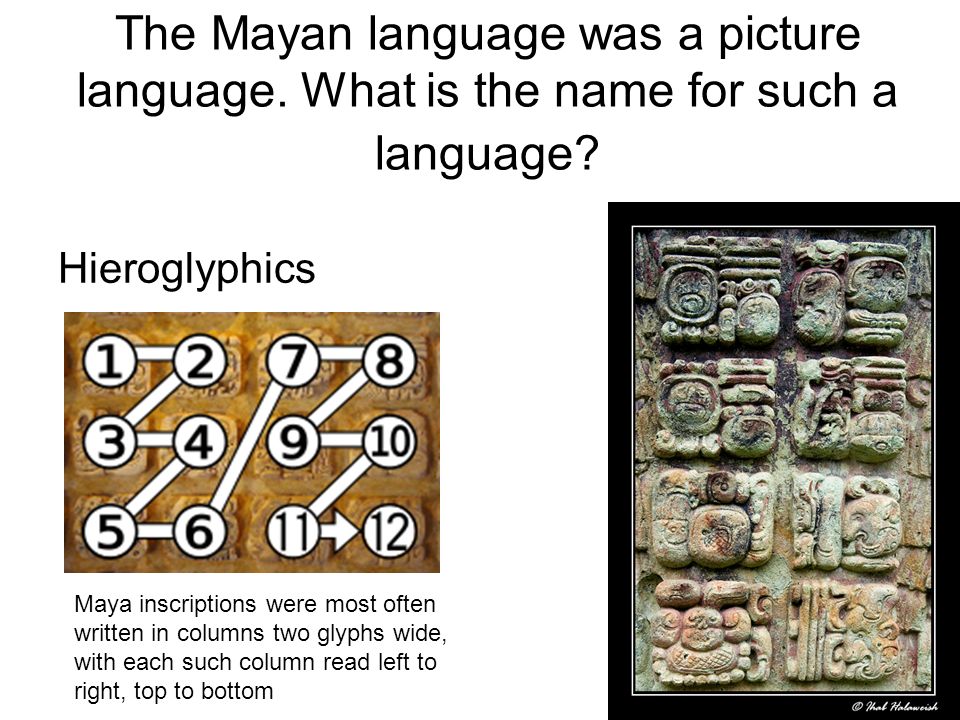 The Mayan language was a picture language. What is the name for such a language.