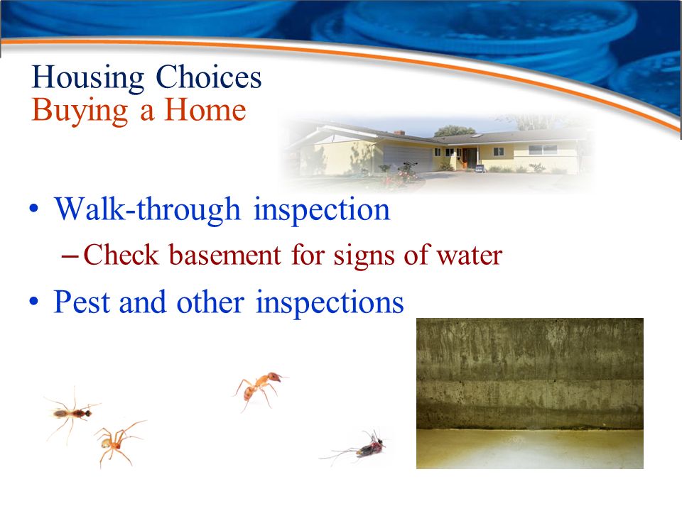 Housing Choices Buying a Home Walk-through inspection – Check basement for signs of water Pest and other inspections