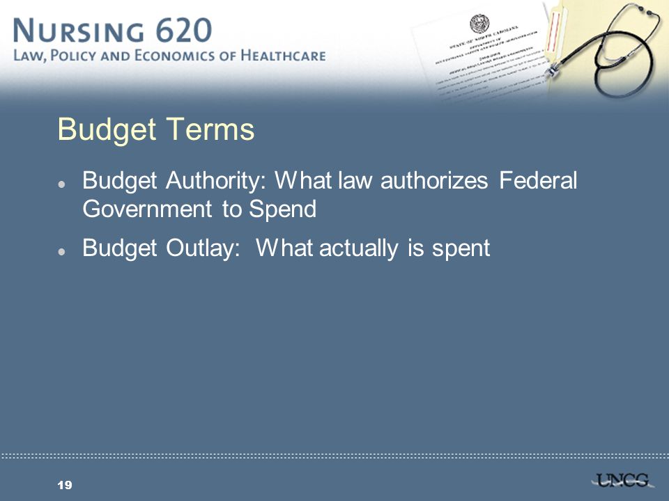 19 Budget Terms l Budget Authority: What law authorizes Federal Government to Spend l Budget Outlay: What actually is spent