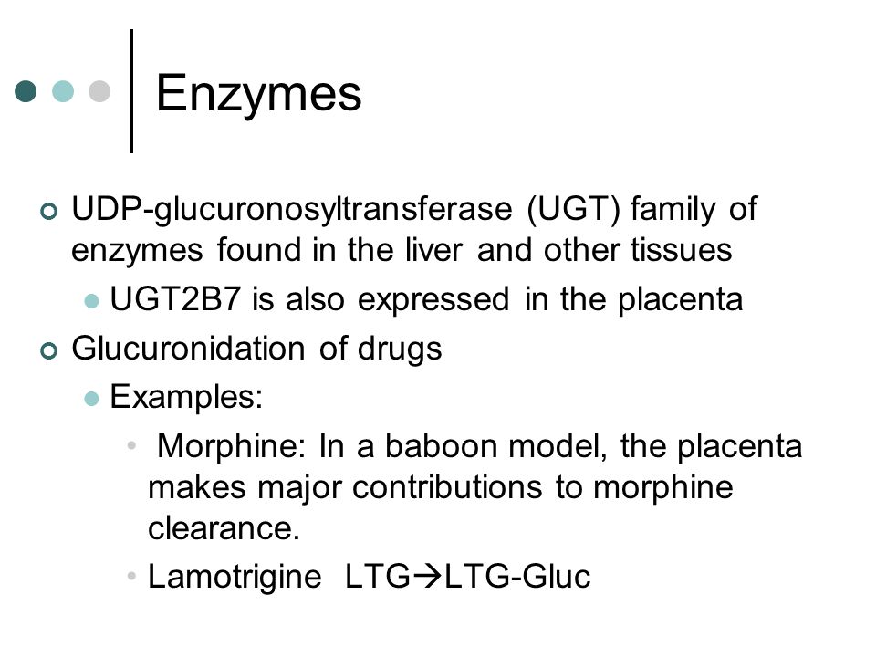 Enzymes UDP-glucuronosyltransferase (UGT) family of enzymes found in the liver and other tissues UGT2B7 is also expressed in the placenta Glucuronidation of drugs Examples: Morphine: In a baboon model, the placenta makes major contributions to morphine clearance.