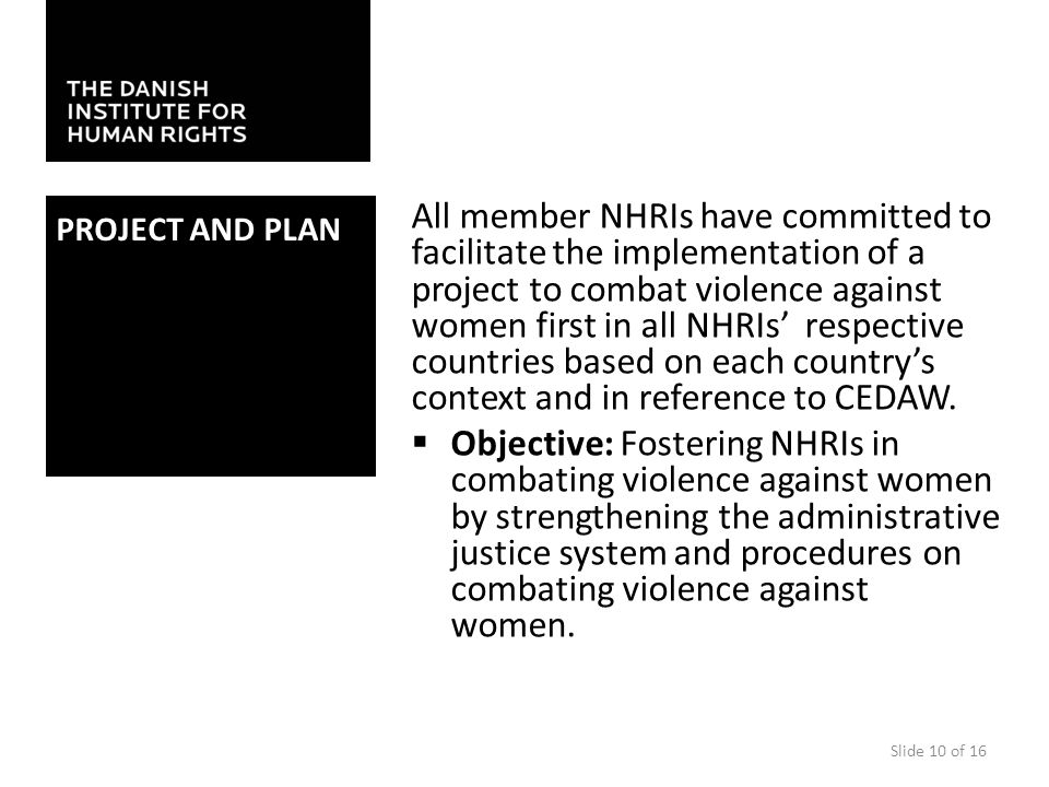 PROJECT AND PLAN All member NHRIs have committed to facilitate the implementation of a project to combat violence against women first in all NHRIs’ respective countries based on each country’s context and in reference to CEDAW.