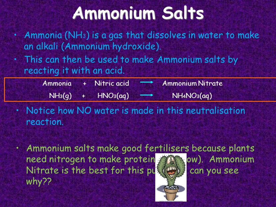 Ammonium Salts Ammonia (NH 3 ) is a gas that dissolves in water to make an alkali (Ammonium hydroxide).