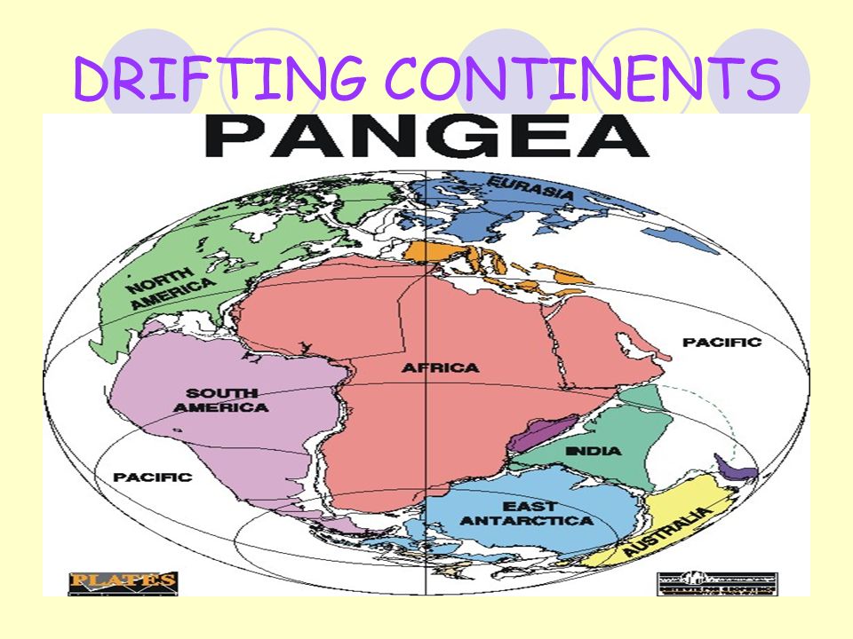 DRIFTING CONTINENTS. Do you see the pieces of the jigsaw- puzzle? - ppt  download