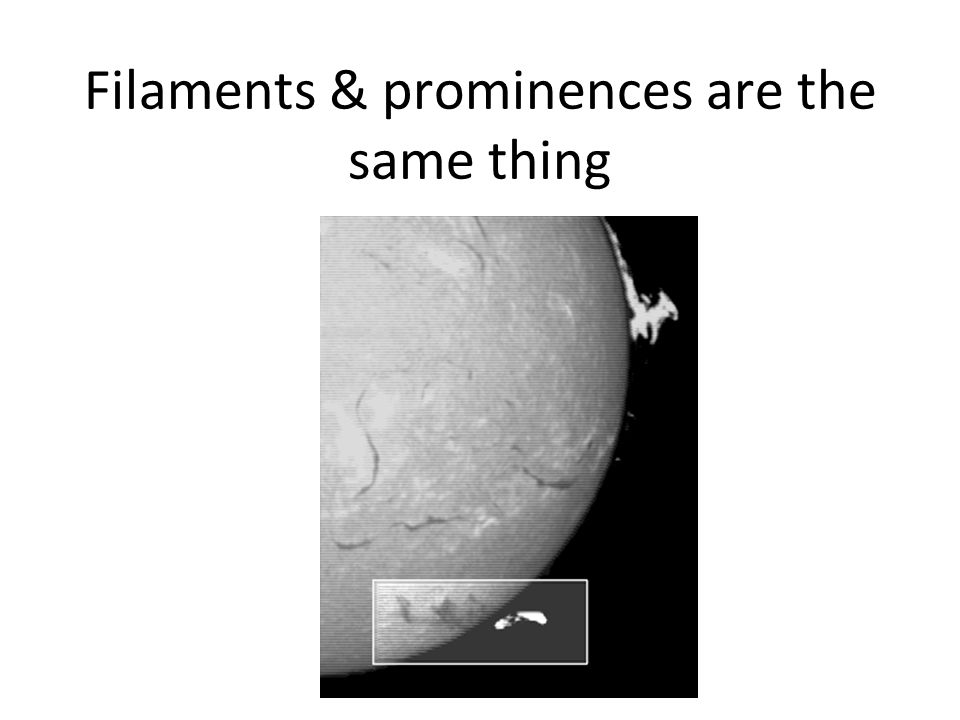 Filaments & prominences are the same thing