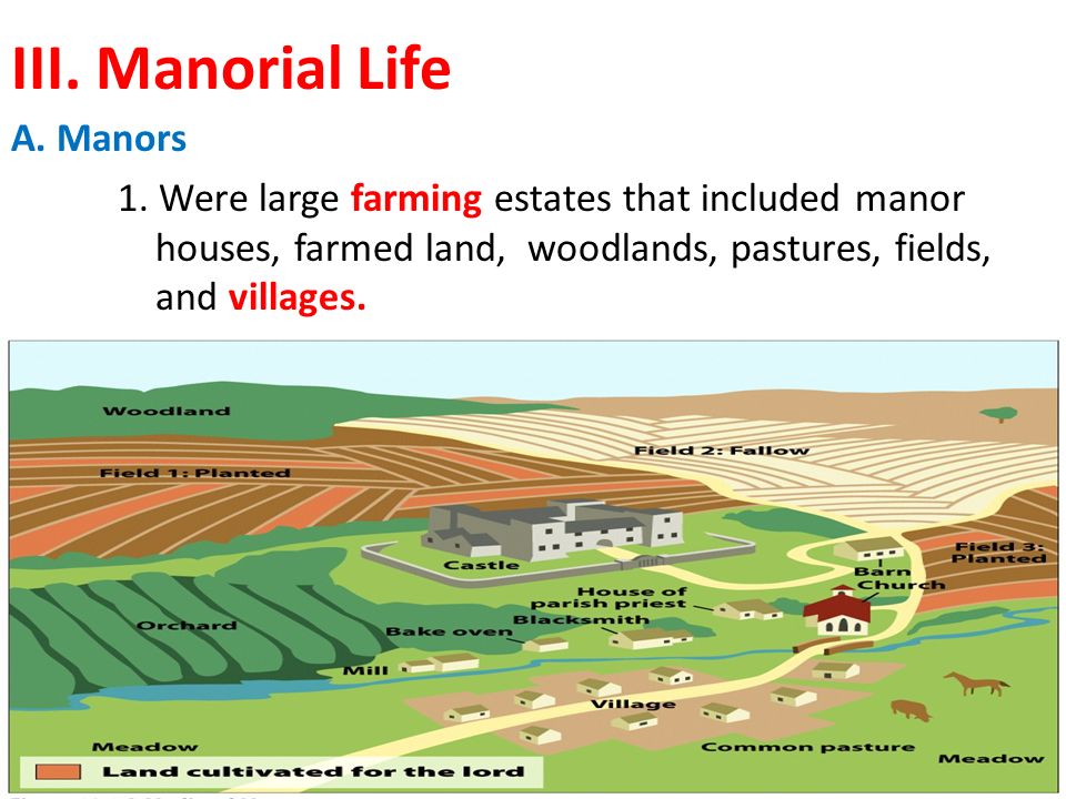 III. Manorial Life A. Manors 1.
