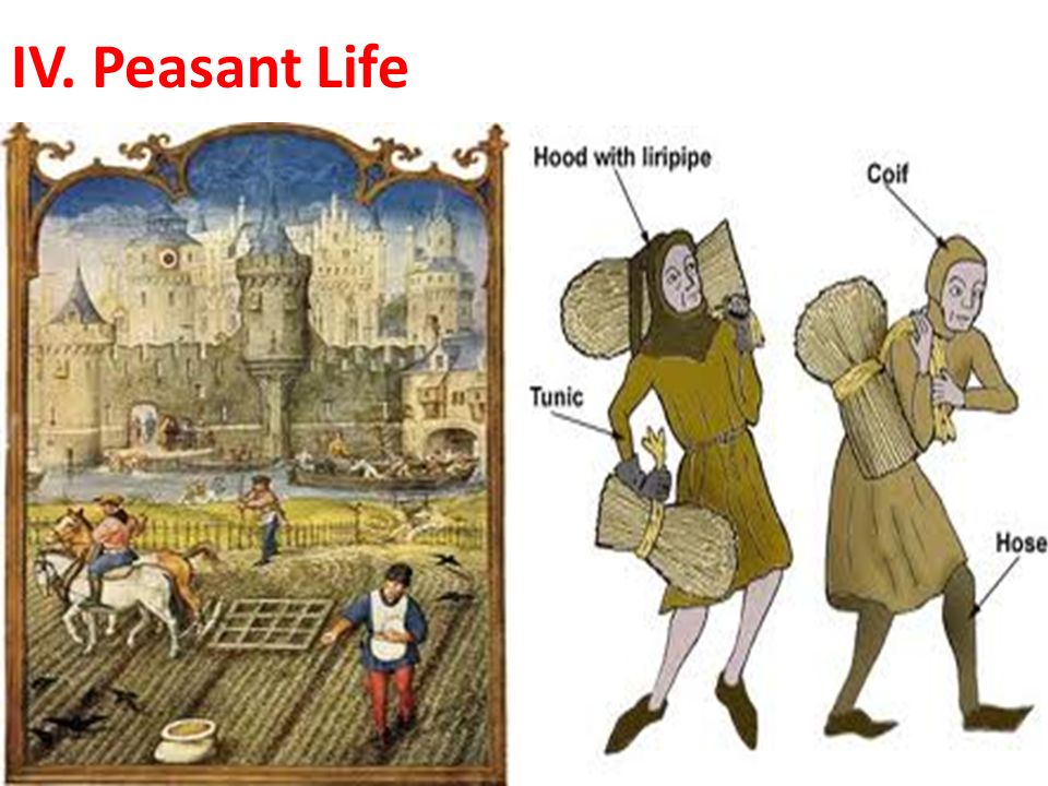 IV. Peasant Life