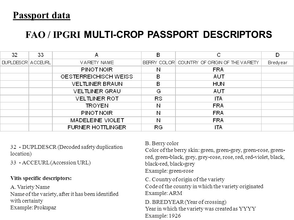 FAO / IPGRI MULTI-CROP PASSPORT DESCRIPTORS Passport data 32 - DUPLDESCR (Decoded safety duplication location) 33 - ACCEURL (Accession URL) Vitis specific descriptors: A.