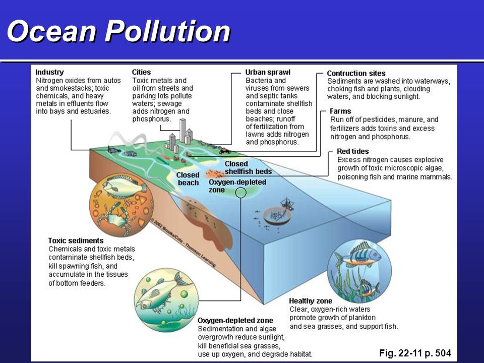Ocean Pollution Fig p. 504
