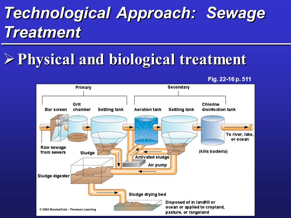 Technological Approach: Sewage Treatment  Physical and biological treatment Fig p. 511