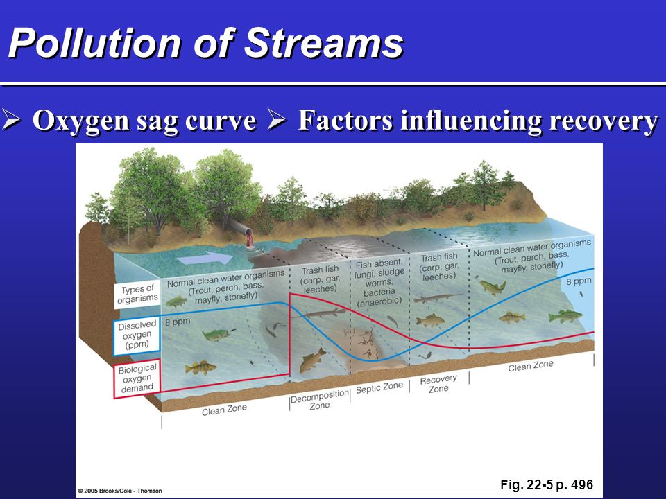 Pollution of Streams  Oxygen sag curve  Factors influencing recovery Fig p. 496