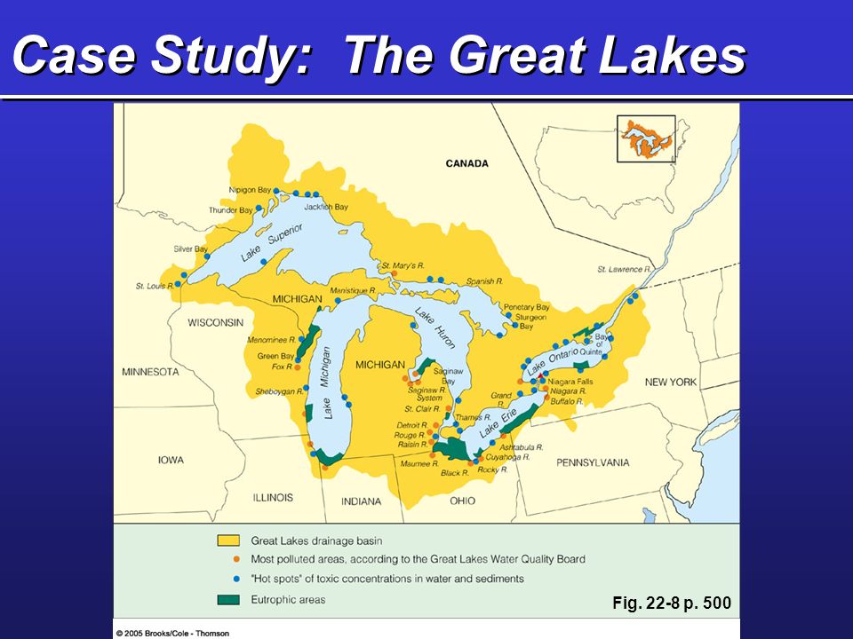 Case Study: The Great Lakes Fig p. 500