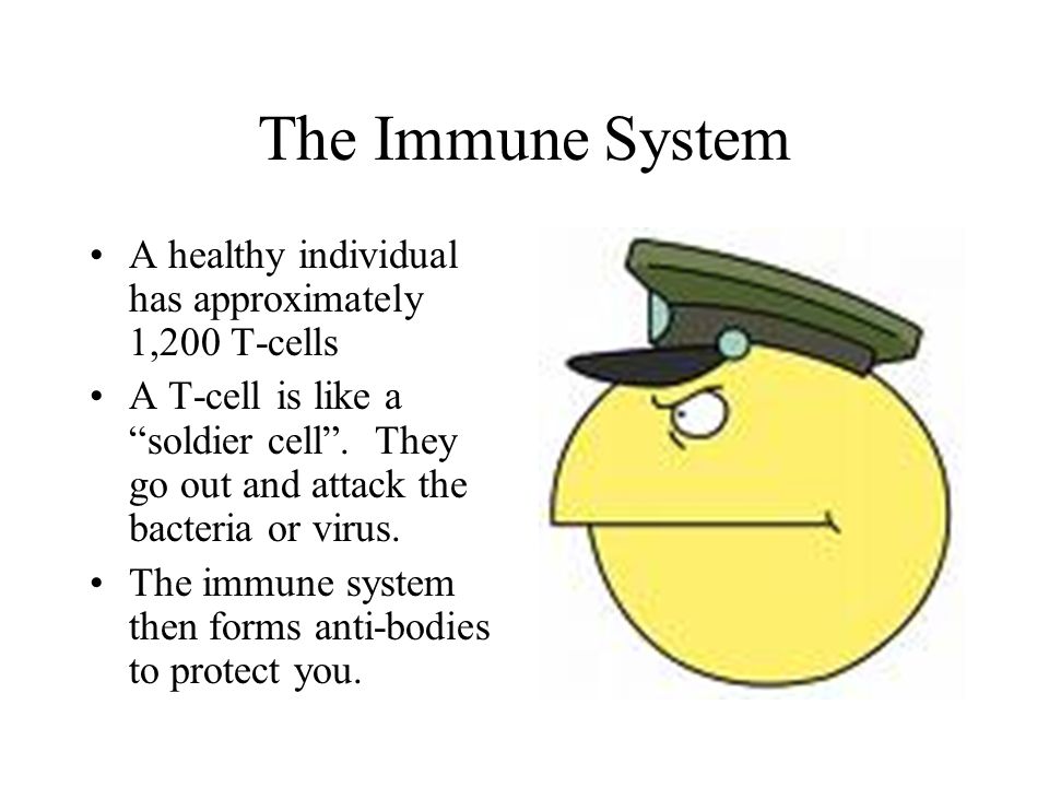 The Immune System A healthy individual has approximately 1,200 T-cells A T-cell is like a soldier cell .