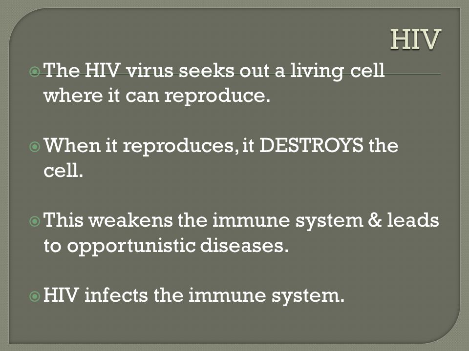  The HIV virus seeks out a living cell where it can reproduce.