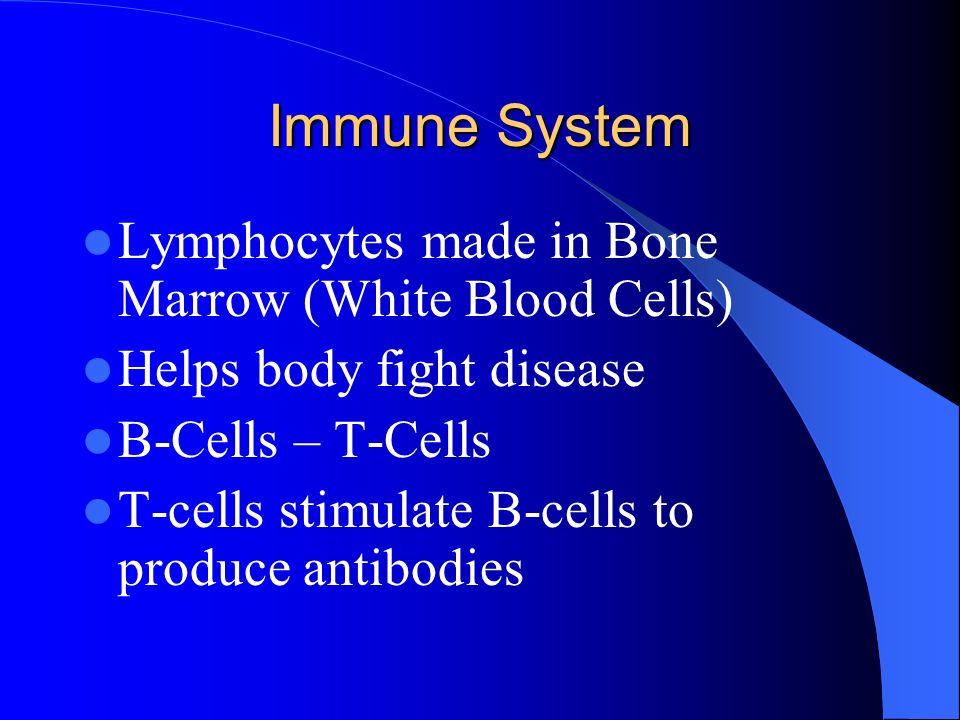 Immune System Lymphocytes made in Bone Marrow (White Blood Cells) Helps body fight disease B-Cells – T-Cells T-cells stimulate B-cells to produce antibodies
