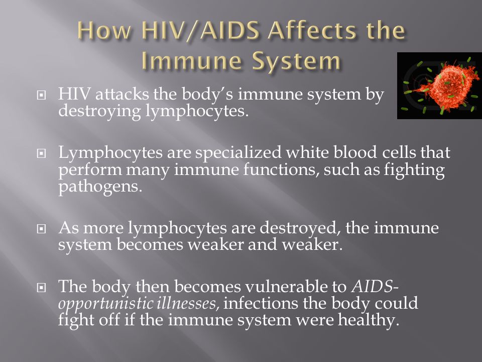  HIV attacks the body’s immune system by destroying lymphocytes.