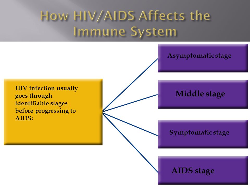 HIV infection usually goes through identifiable stages before progressing to AIDS: Asymptomatic stage Middle stage Symptomatic stage AIDS stage