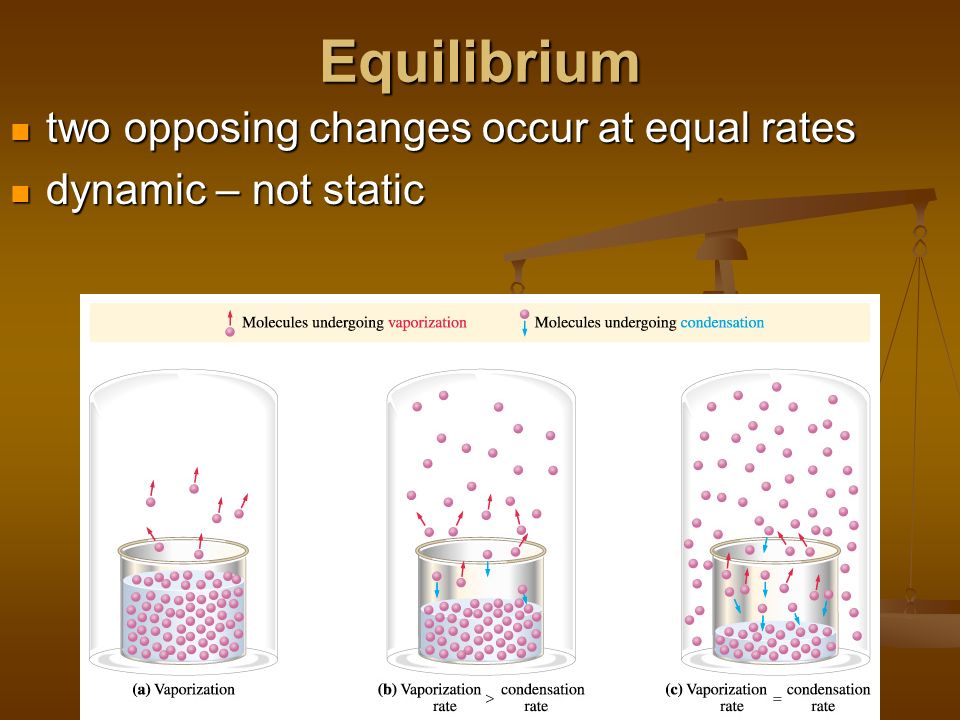 Equilibrium two opposing changes occur at equal rates two opposing changes occur at equal rates dynamic – not static dynamic – not static