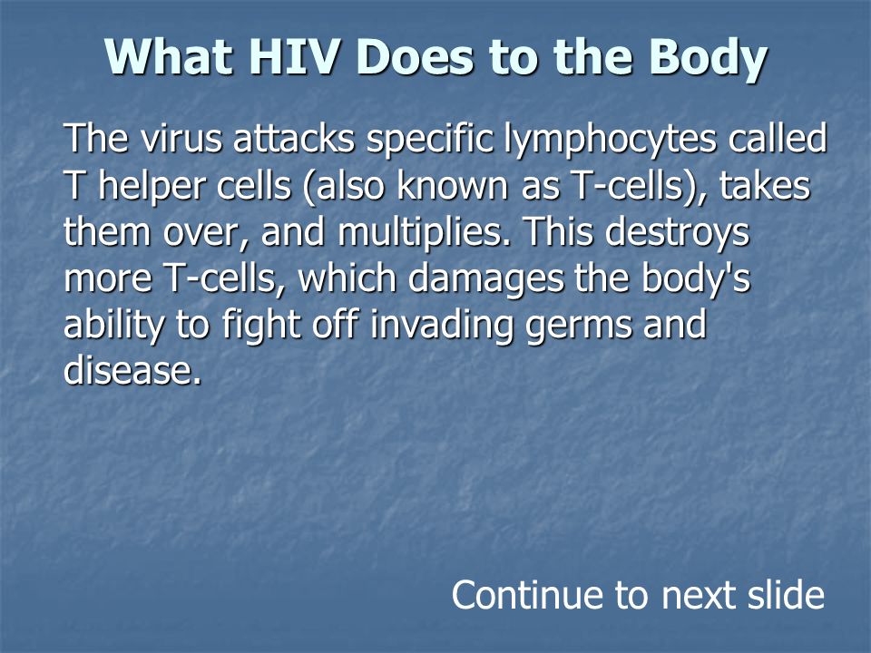 What HIV Does to the Body The virus attacks specific lymphocytes called T helper cells (also known as T-cells), takes them over, and multiplies.