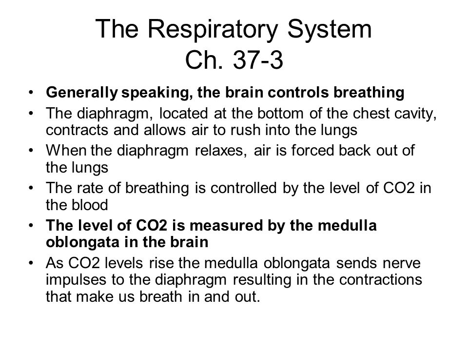 The Human Body Part II Chapters The Respiratory System Ch Respiration ...