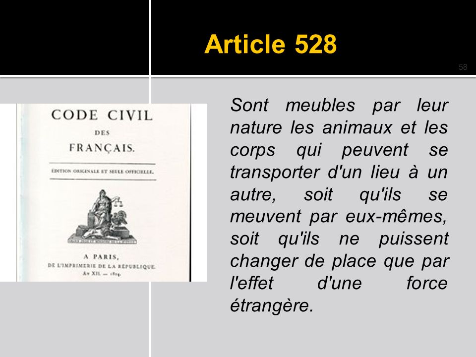 Article 528 code civil animaux