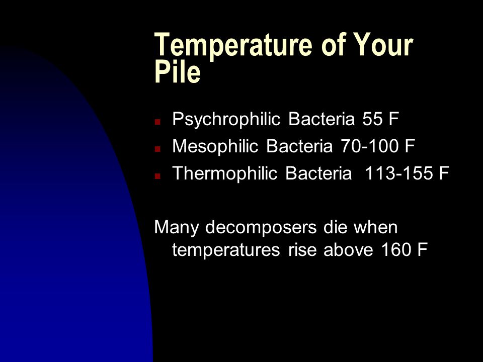 Temperature of Your Pile n Psychrophilic Bacteria 55 F n Mesophilic Bacteria F n Thermophilic Bacteria F Many decomposers die when temperatures rise above 160 F