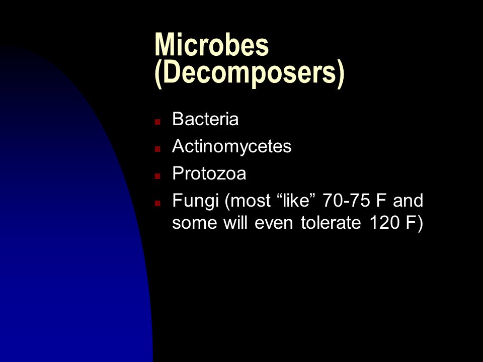 Microbes (Decomposers) n Bacteria n Actinomycetes n Protozoa n Fungi (most like F and some will even tolerate 120 F)