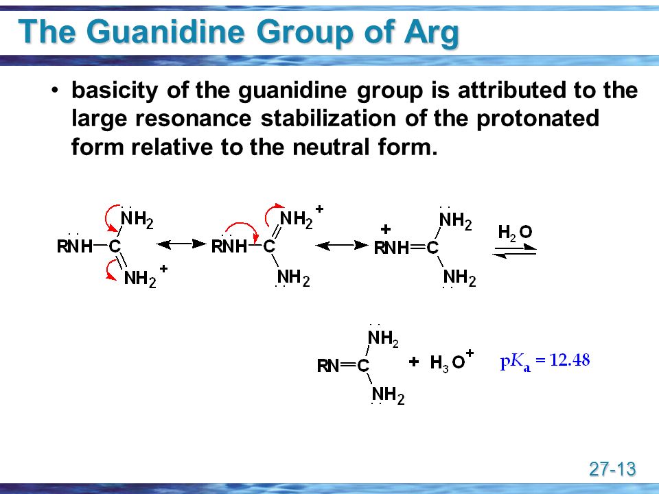 27 1 Amino Acids Proteins Chapter A Amino Acids Amino Acid Amino Acid A Compound That Contains Both An Amino Group And A Carboxyl Ppt Download 27 1 Amino Acids Proteins Chapter A Amino Acids Amino Acid Amino Acid A Compound That Contains Both An Amino Group And A Carboxyl Ppt Download