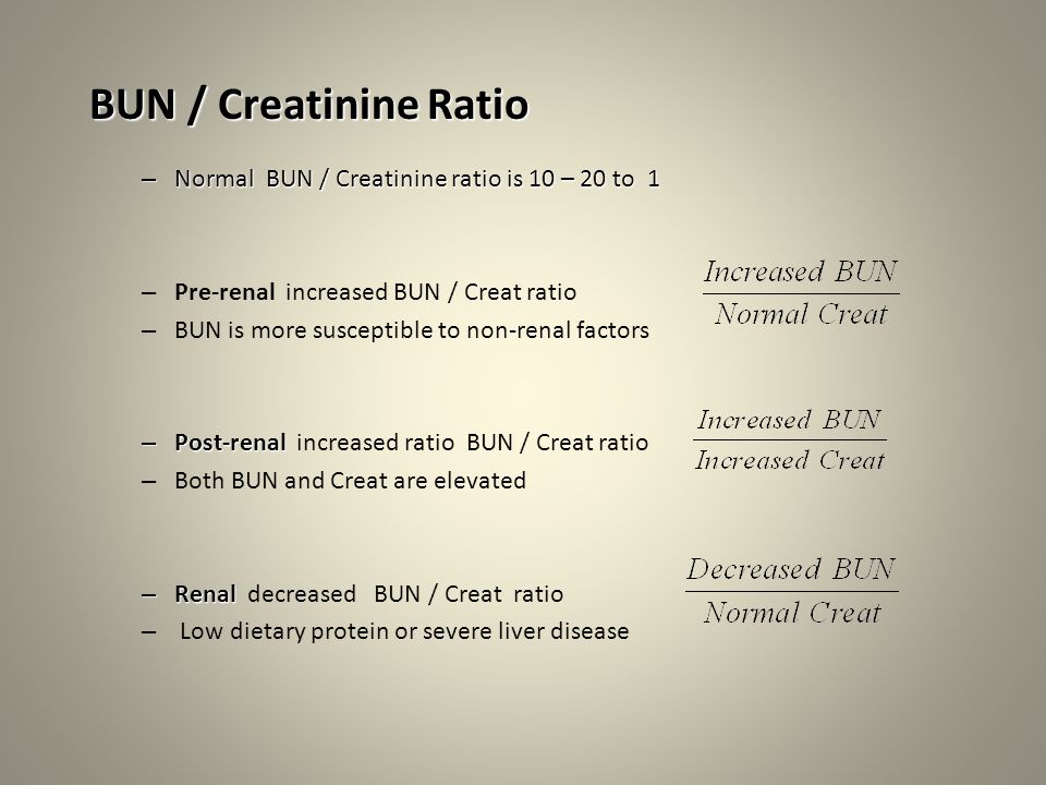 Clinical Chemistry Renal Assessment. Creatinine Metabolic product cleared  entirely by glomerular filtration Not reabsorped In order to see increased  creatinine. - ppt download