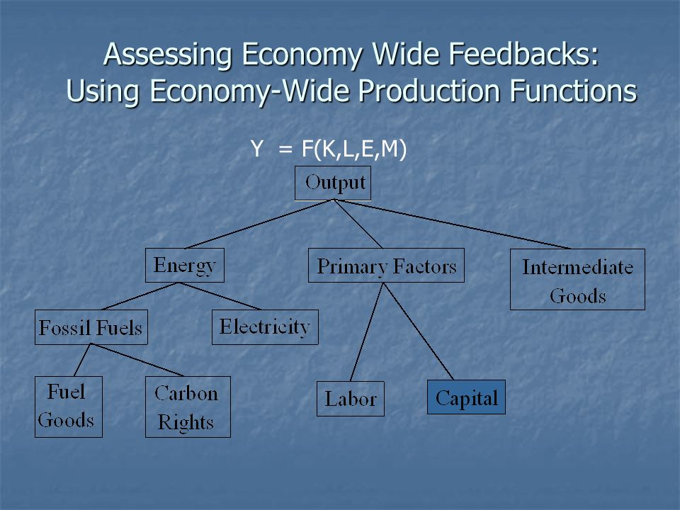 Assessing Economy Wide Feedbacks: Using Economy-Wide Production Functions Y = F(K,L,E,M)