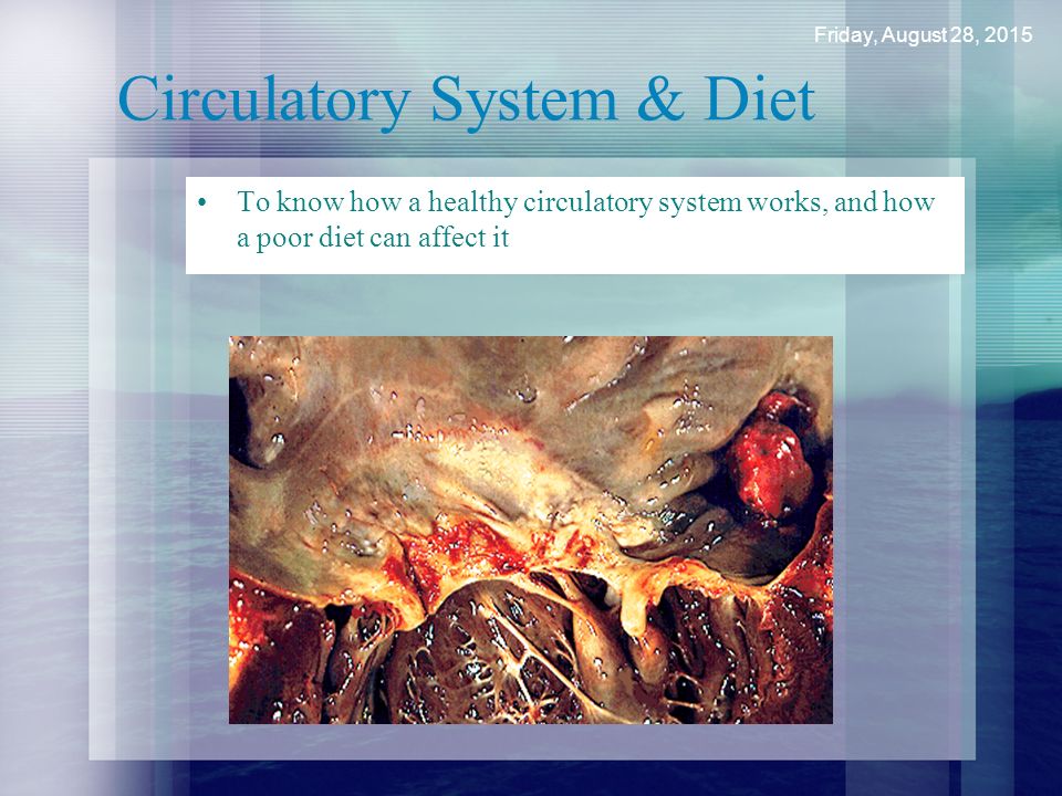 Circulatory System & Diet To know how a healthy circulatory system works, and how a poor diet can affect it Friday, August 28, 2015