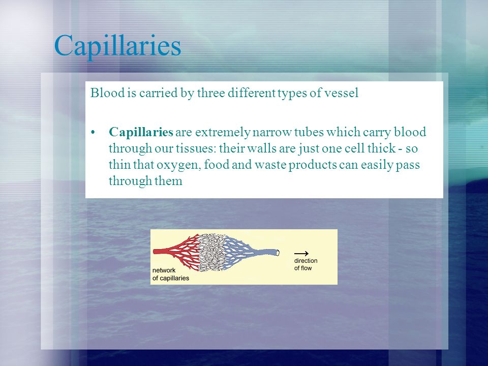Capillaries Blood is carried by three different types of vessel Capillaries are extremely narrow tubes which carry blood through our tissues: their walls are just one cell thick - so thin that oxygen, food and waste products can easily pass through them