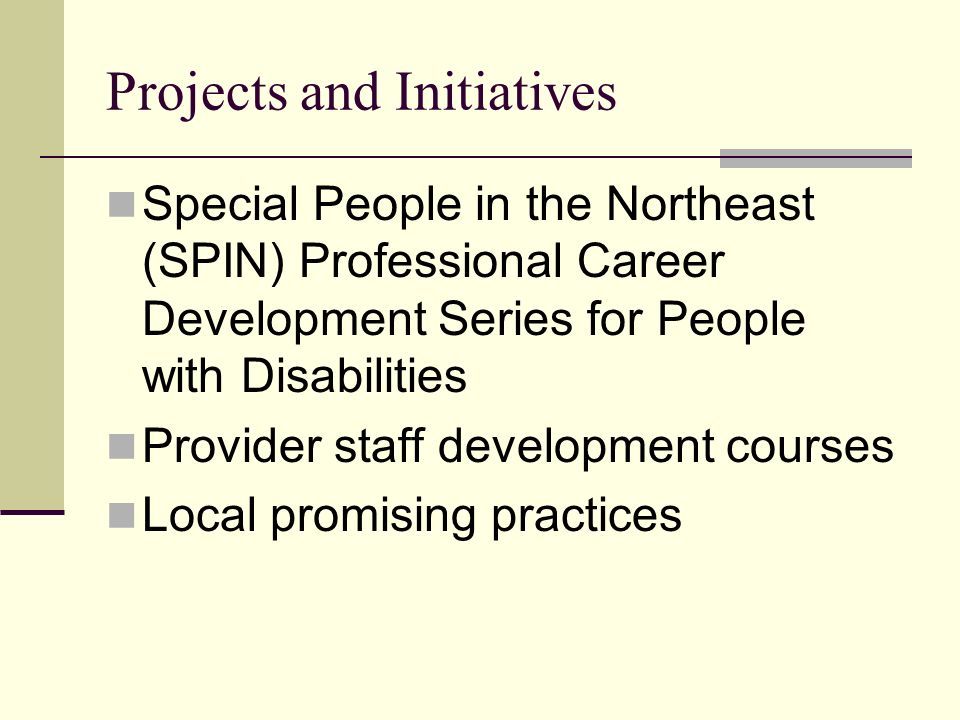 Projects and Initiatives Special People in the Northeast (SPIN) Professional Career Development Series for People with Disabilities Provider staff development courses Local promising practices