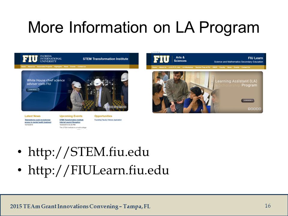 2015 TEAm Grant Innovations Convening – Tampa, FL More Information on LA Program