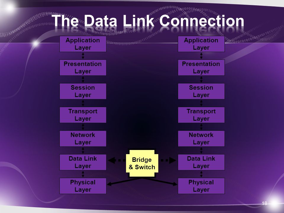 18 Network Layer Data Link Layer Physical Layer Application Layer Presentation Layer Session Layer Transport Layer Network Layer Data Link Layer Physical Layer Application Layer Presentation Layer Session Layer Transport Layer Bridge & Switch