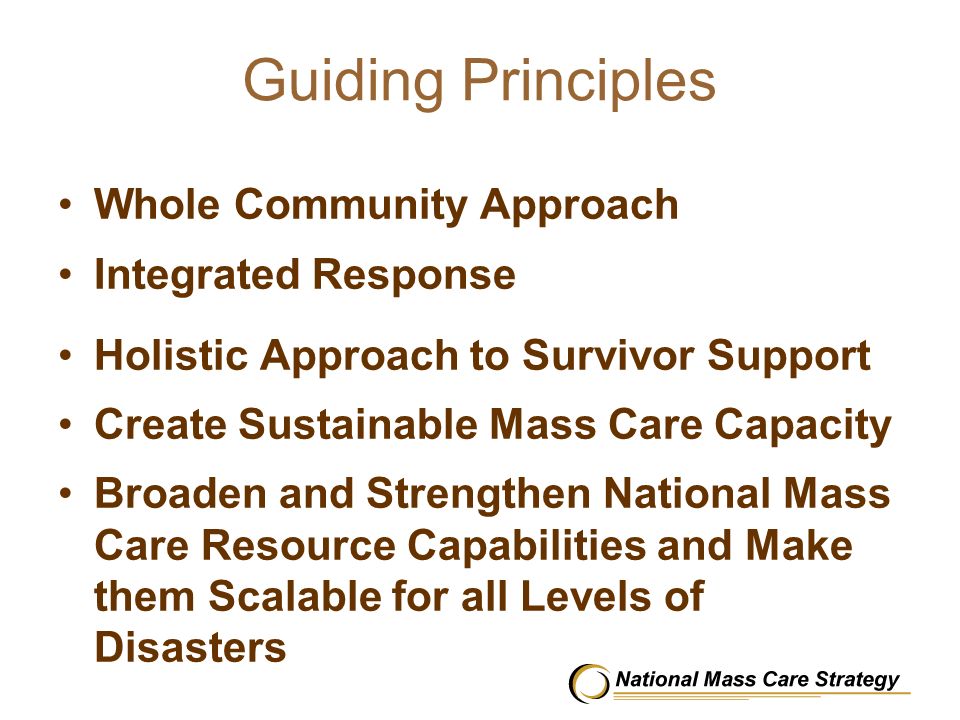 Guiding Principles Whole Community Approach Integrated Response Holistic Approach to Survivor Support Create Sustainable Mass Care Capacity Broaden and Strengthen National Mass Care Resource Capabilities and Make them Scalable for all Levels of Disasters