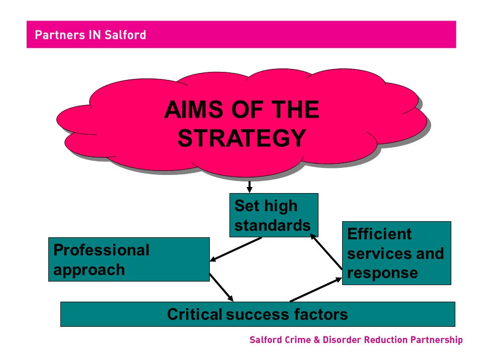AIMS OF THE STRATEGY Set high standards Professional approach Critical success factors Efficient services and response