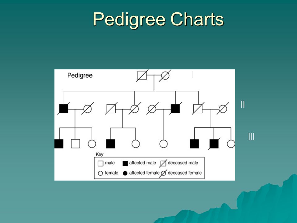 pedigree charts the family tree of genetics pedigree charts i ii iii