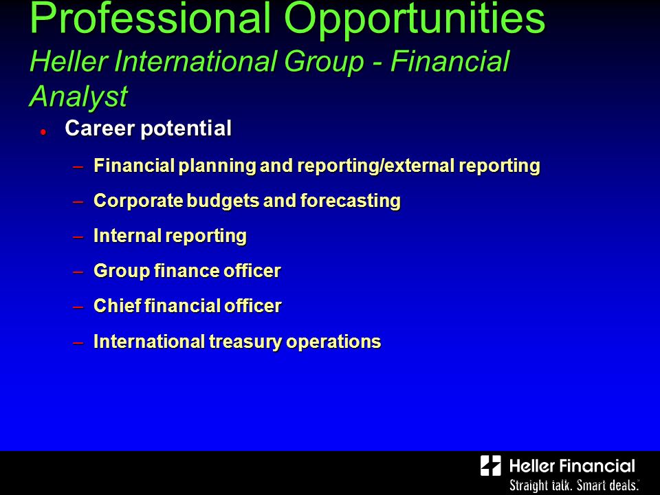Bank, Analyst and Investor Meeting, March Page 15 Professional Opportunities Heller International Group - Financial Analyst Career potential Career potential –Financial planning and reporting/external reporting –Corporate budgets and forecasting –Internal reporting –Group finance officer –Chief financial officer –International treasury operations