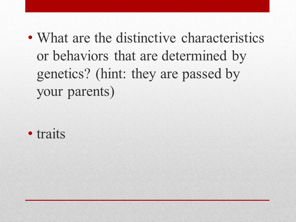 What are the distinctive characteristics or behaviors that are determined by genetics.