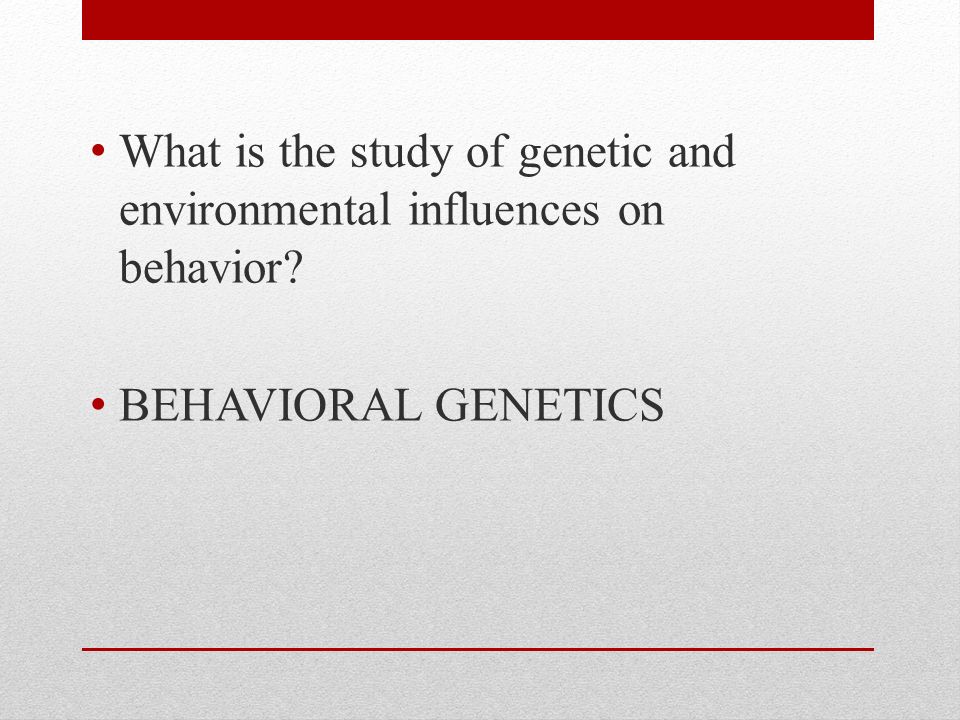 What is the study of genetic and environmental influences on behavior BEHAVIORAL GENETICS