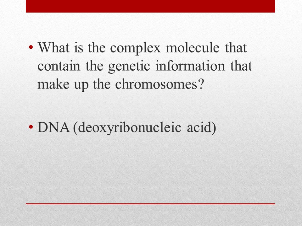 What is the complex molecule that contain the genetic information that make up the chromosomes.