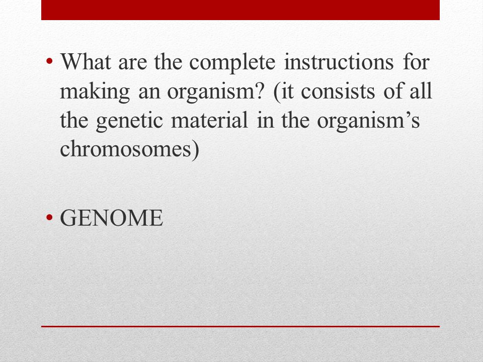 What are the complete instructions for making an organism.
