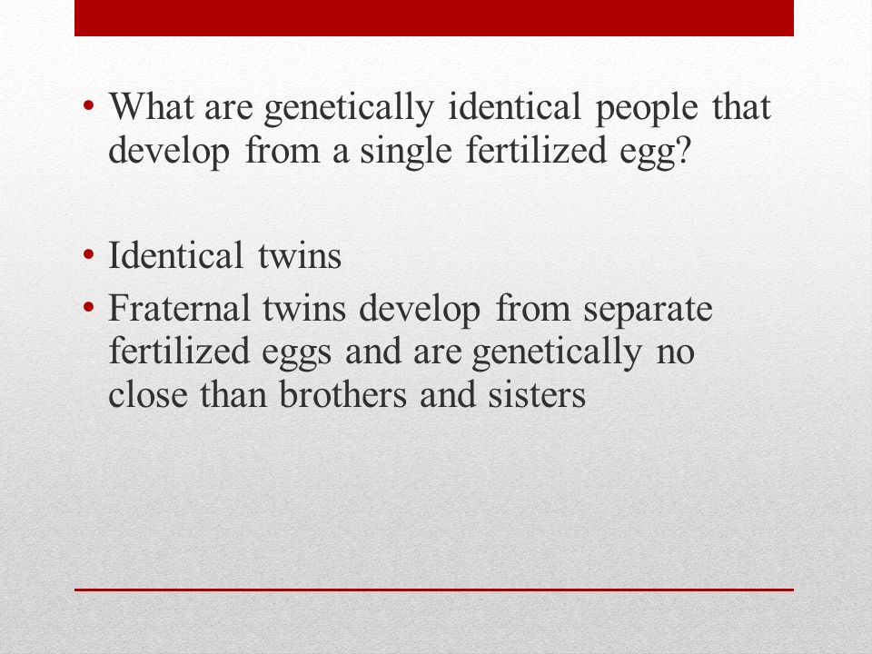What are genetically identical people that develop from a single fertilized egg.