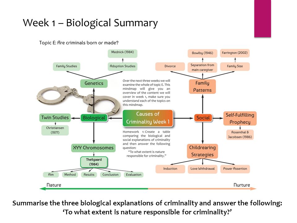 Week 1 – Biological Summary Summarise the three biological explanations of criminality and answer the following: ‘To what extent is nature responsible for criminality ’