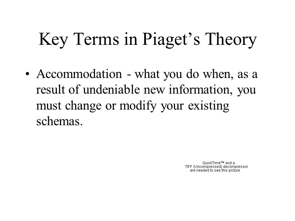 Key Terms in Piaget’s Theory Assimilation - what you do when you fit new information into your present knowledge and beliefs (schemas)