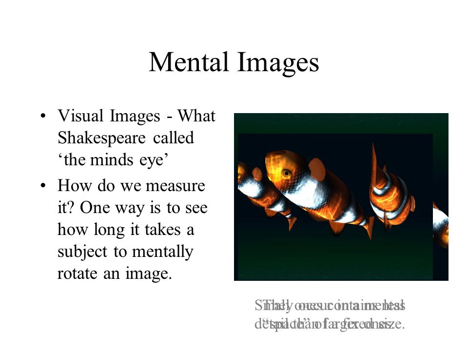 Mental Images