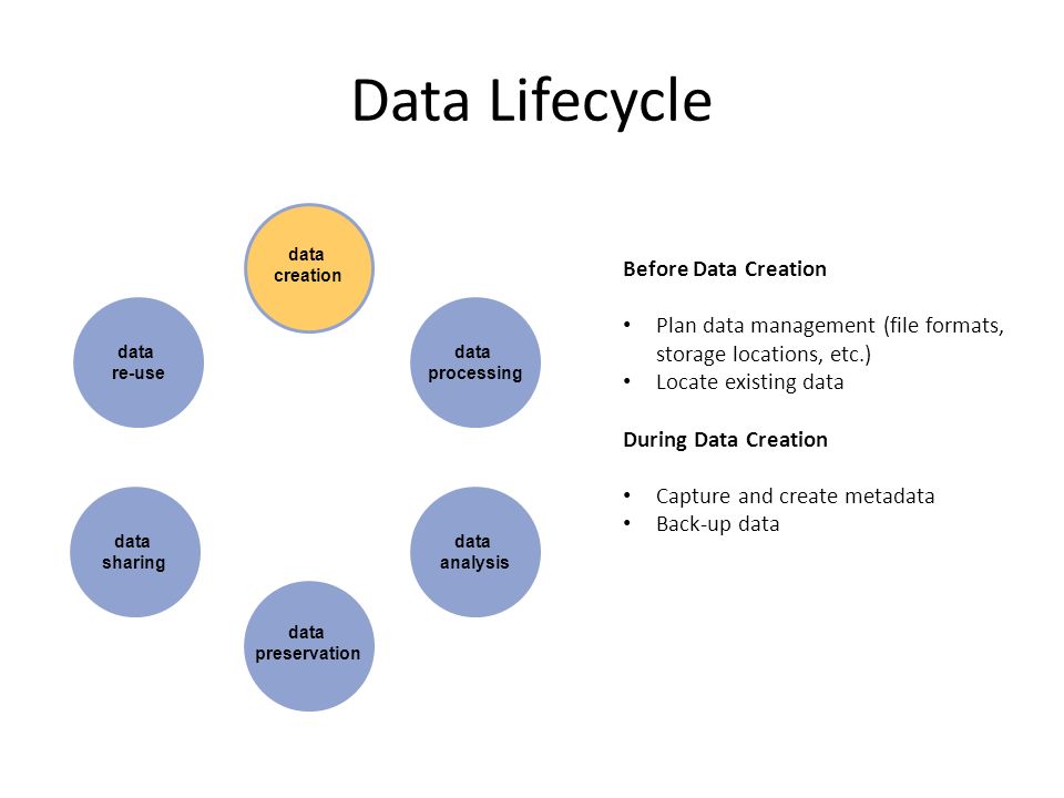 data creation data preservation data processing data analysis data re-use data sharing Before Data Creation Plan data management (file formats, storage locations, etc.) Locate existing data During Data Creation Capture and create metadata Back-up data Data Lifecycle
