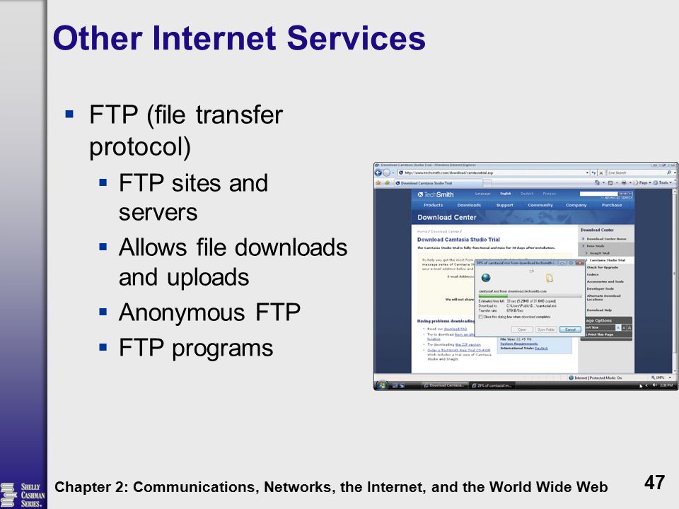 Other Internet Services  FTP (file transfer protocol)  FTP sites and servers  Allows file downloads and uploads  Anonymous FTP  FTP programs Chapter 2: Communications, Networks, the Internet, and the World Wide Web 47
