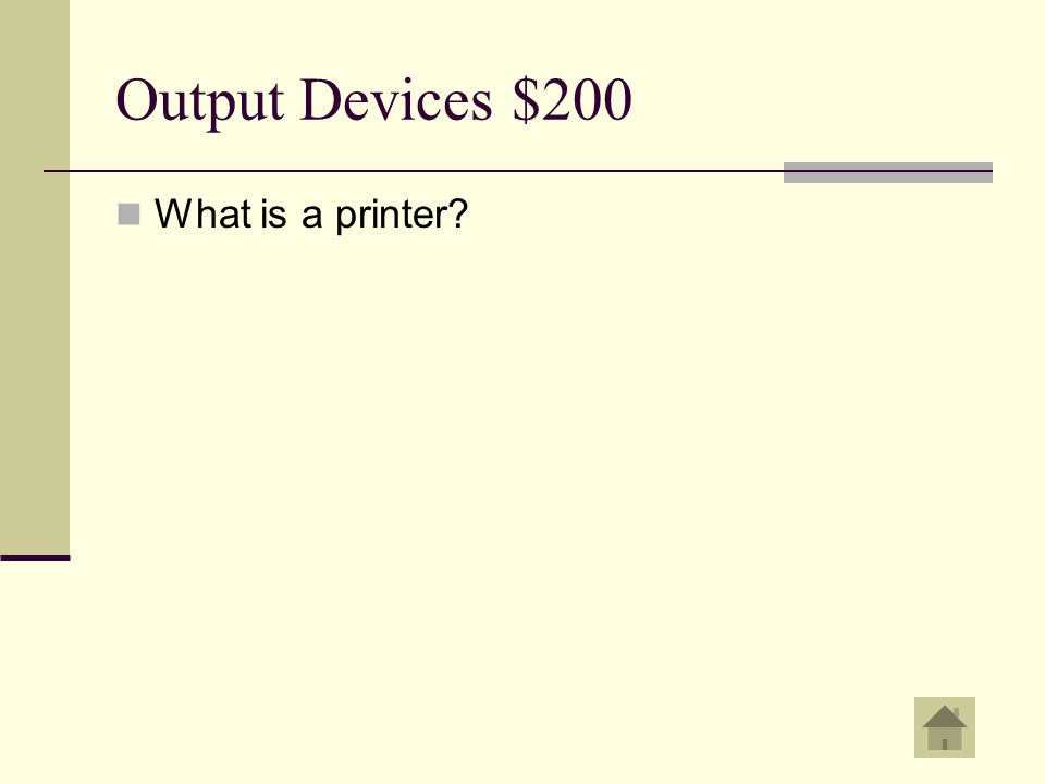 Output Devices $200 An output device used to create a display on paper