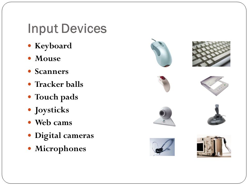 Input Devices Keyboard Mouse Scanners Tracker balls Touch pads Joysticks Web cams Digital cameras Microphones